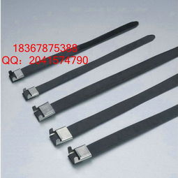 廠家供應(yīng)南通市不銹鋼扎帶不銹鋼電纜標(biāo)牌304材質(zhì)4.6 250mm型號(hào)市場批發(fā)